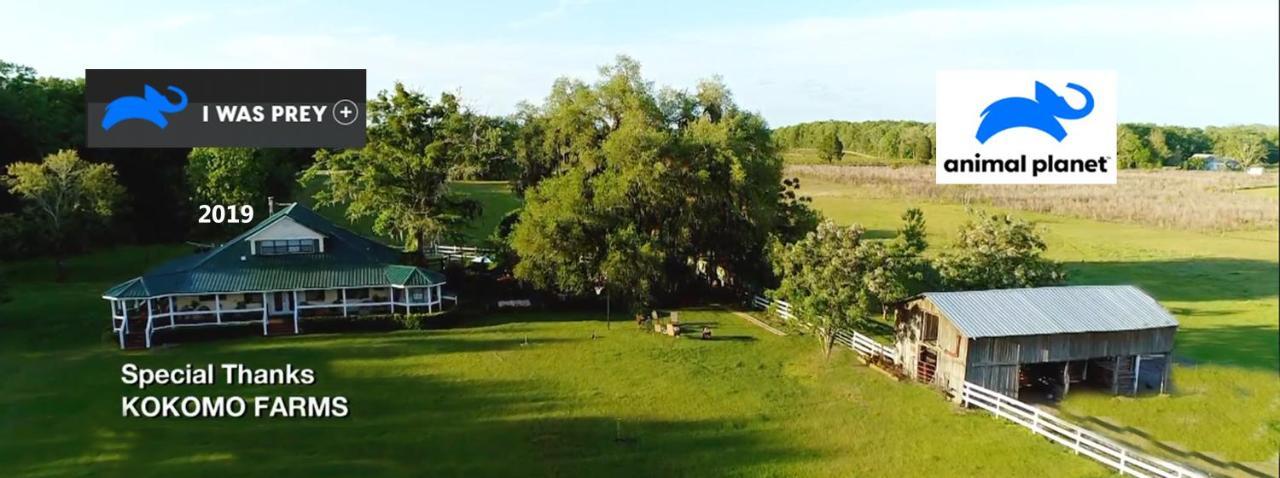 Kokomo Farms Live Oak Ngoại thất bức ảnh