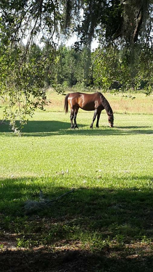 Kokomo Farms Live Oak Ngoại thất bức ảnh